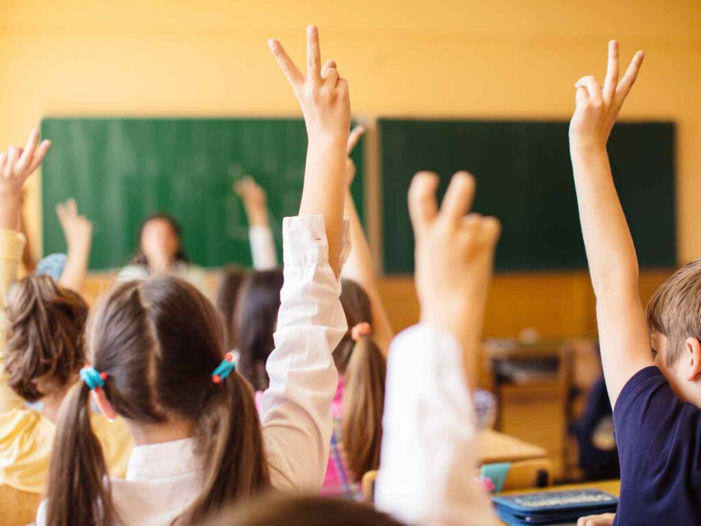 Schulausflüge als Charterfahrt oder Hafenrundfahrt